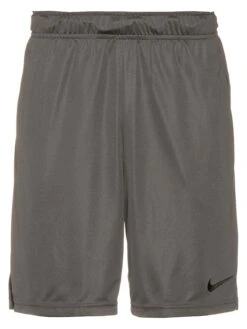 Nike Funktionsshorts In Grau