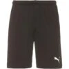 Fußballshorts TeamRISE In Puma Black-puma White