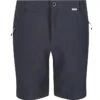 Regatta Funktionsshorts In Anthrazit